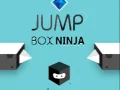 Hra Skákací Krabice Ninja