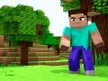 Hra Mini Craft