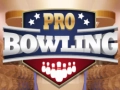 Hra Profesionální bowling Hra Profesionální bowling