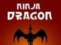 Hra Ninja Drak