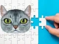 Hra Abysinská Hádanková Výzva Hra Abysinská Hádanková Výzva