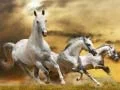 Hra Skluz Running Horse