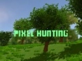Hra Lov na pixely