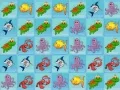 Hra Kolekce Mořského Světa Hra Kolekce Mořského Světa