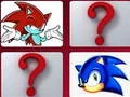 Hra Sonic: Výzva Paměti Hra Sonic: Výzva Paměti