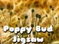 Hra Hádanka s poupěm máku Hra Hádanka s poupěm máku