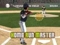 Hra Mistr Home Run