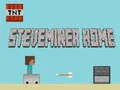 Hra Steveminer Domov