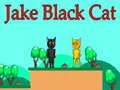 Hra Jake Černá Kočka Hra Jake Černá Kočka