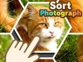 Hra Třídit fotografie Hra Třídit fotografie