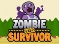 Hra Zombie Poslední přeživší
