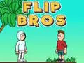 Hra Flip Bratři Hra Flip Bratři