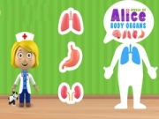 Hra Svět tělesných orgánů Alice