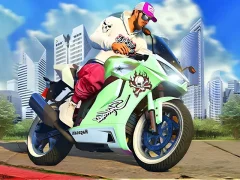 Hra Závodník na motocyklu: Chaos Road