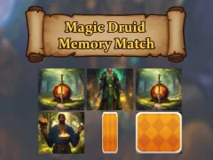 Hra Magic Druid: paměť Hra Magic Druid: paměť