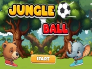 Hra Jungle: míč
