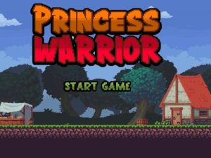 Hra Princezna Warrior