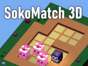 Hra Sokomatch 3d