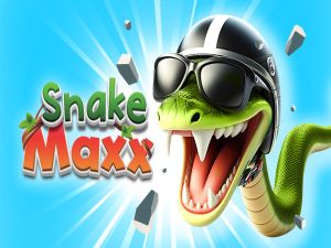 Hra Had max