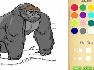 Hra Omalování knih pro děti: Zoo zvířat