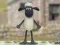 Hra Shaun the Sheep: Vlněný Skokan! Hra Shaun the Sheep: Vlněný Skokan!