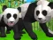 Hra Simulátor pandy 3D