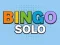 Hra Bingo Solo