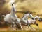 Hra Skluz Running Horse