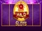 Hra Divoký Slot Hra Divoký Slot