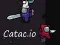 Hra Catac.io