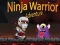 Hra Dobrodružství Ninja Bojovníka