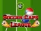 Hra Liga Fotbalových Čepic