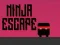 Hra Ninja útěk