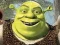 Hra Shrek: Sběr Puzzlů