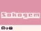 Hra Sokogem