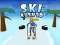Hra Ski Rush 3D