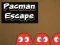 Hra Pacman Únik