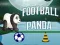 Hra Fotbalový Panda