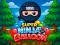 Hra Super Ninja Balloon