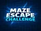 Hra Maze Escape Challenge