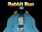 Hra Bunny Run 3D