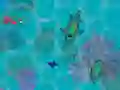 Hra Sharkz.io