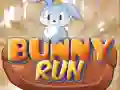Hra Zaječí běh