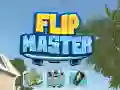 Hra Flip Mistr Hra Flip Mistr