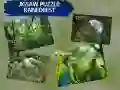 Hra Skříňová Hádanka deštný prales Hra Skříňová Hádanka deštný prales
