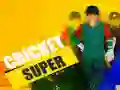 Hra Super Kriket Hra Super Kriket