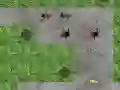 Hra Obrana pavoučí věže Hra Obrana pavoučí věže