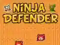 Hra Ninja Obhájce Hra Ninja Obhájce