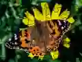 Hra Puzzle: Jaro Hra Puzzle: Jaro