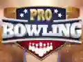 Hra Profesionální bowling